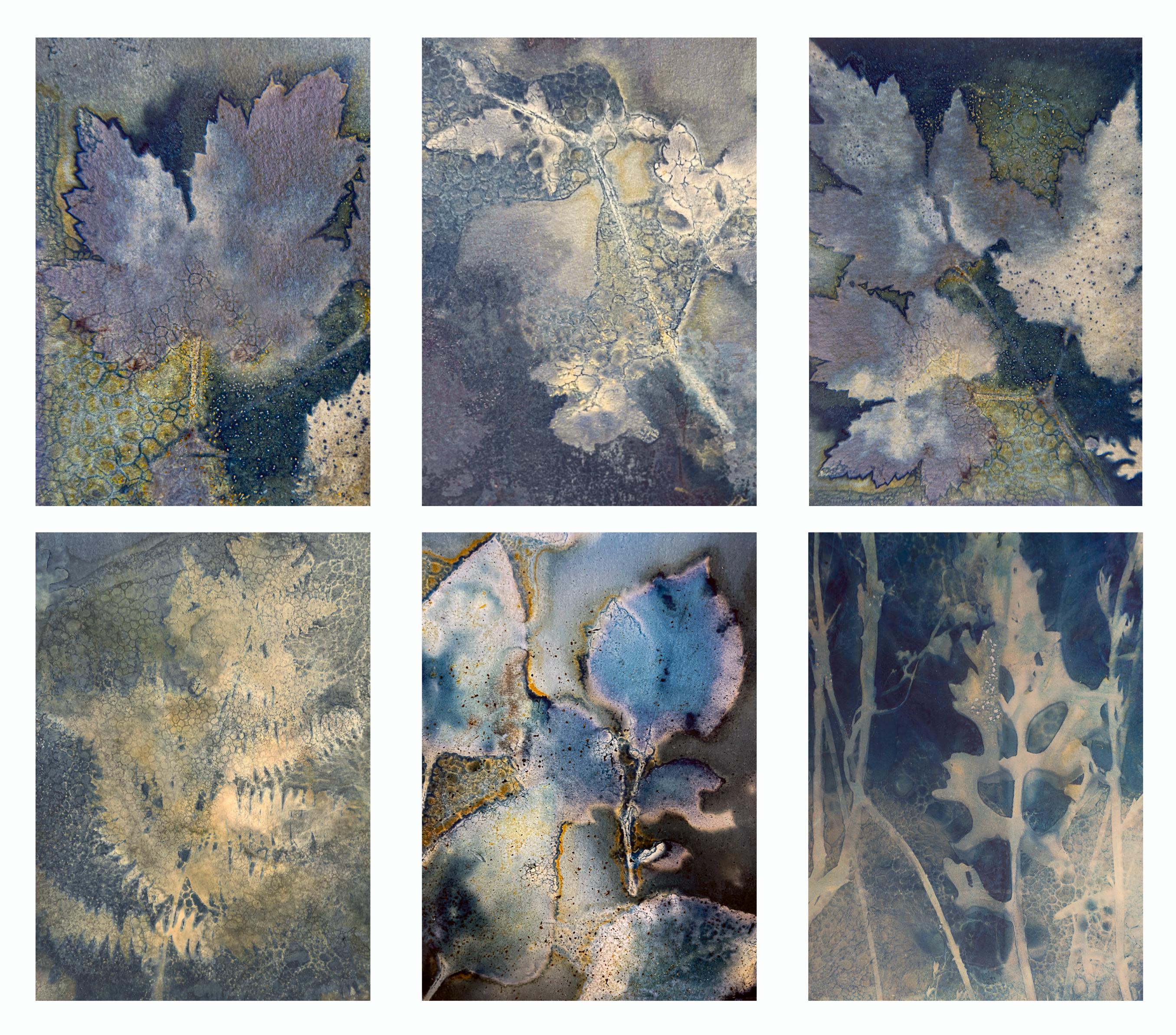 Layout Of Rhsgold Medal Entry