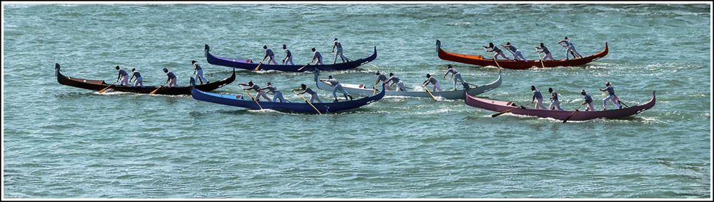 Gondola Racing In Venice by Peter Range