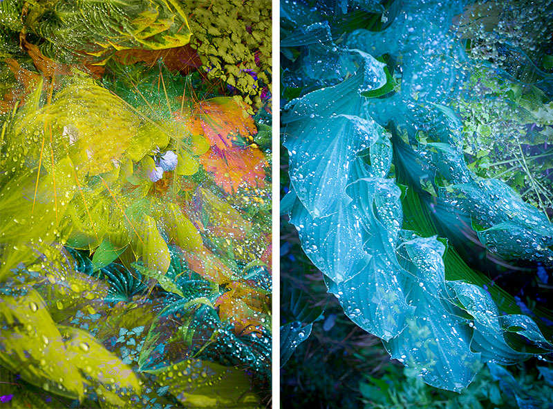 David Townshend ARPS