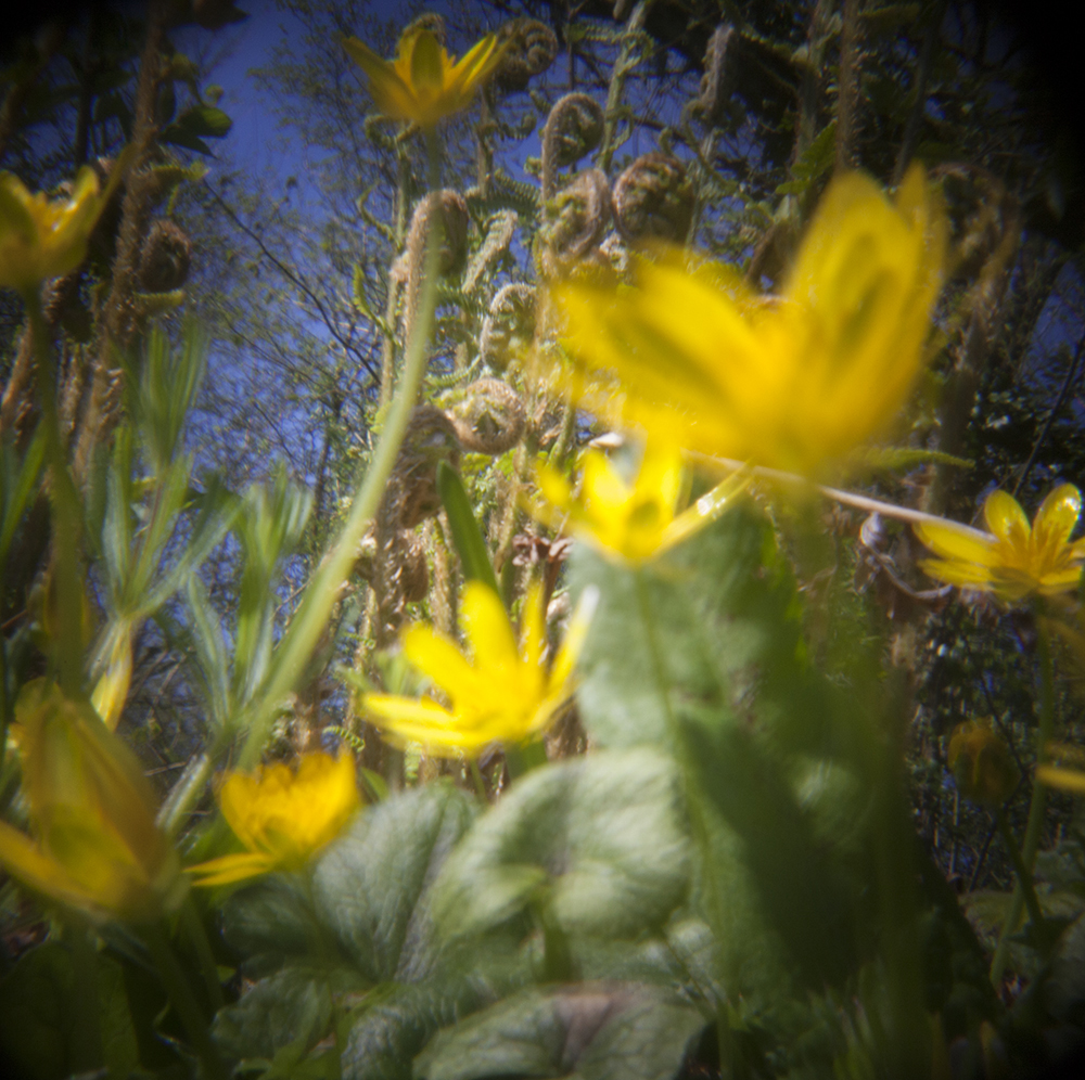 Beyond The Visible 4Sm