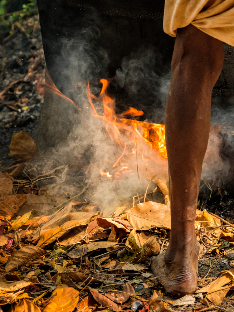 Cooking Shellfish, Kerala, India, by Freda Hocking