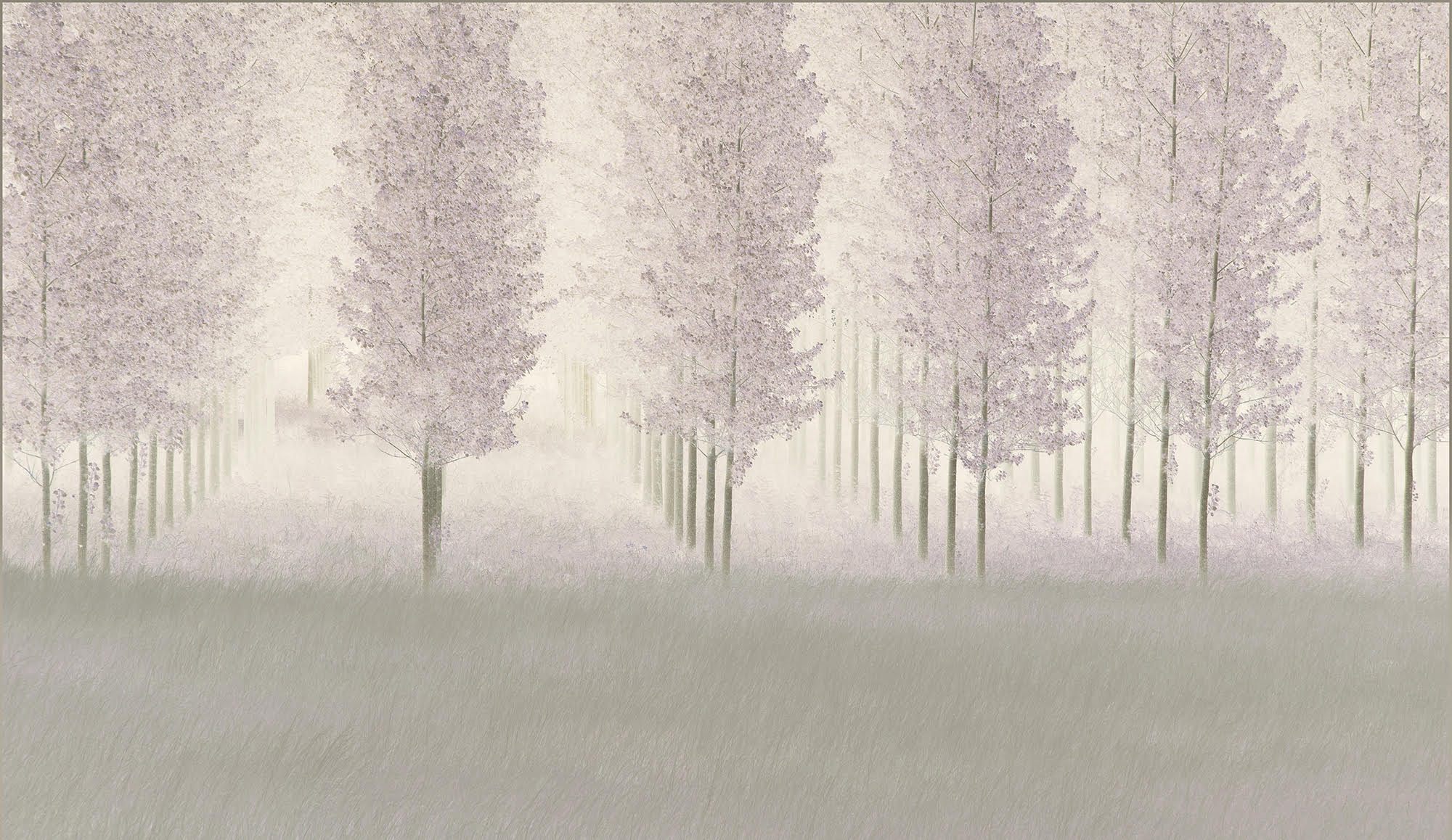 Lines of Trees by Linda Wevill