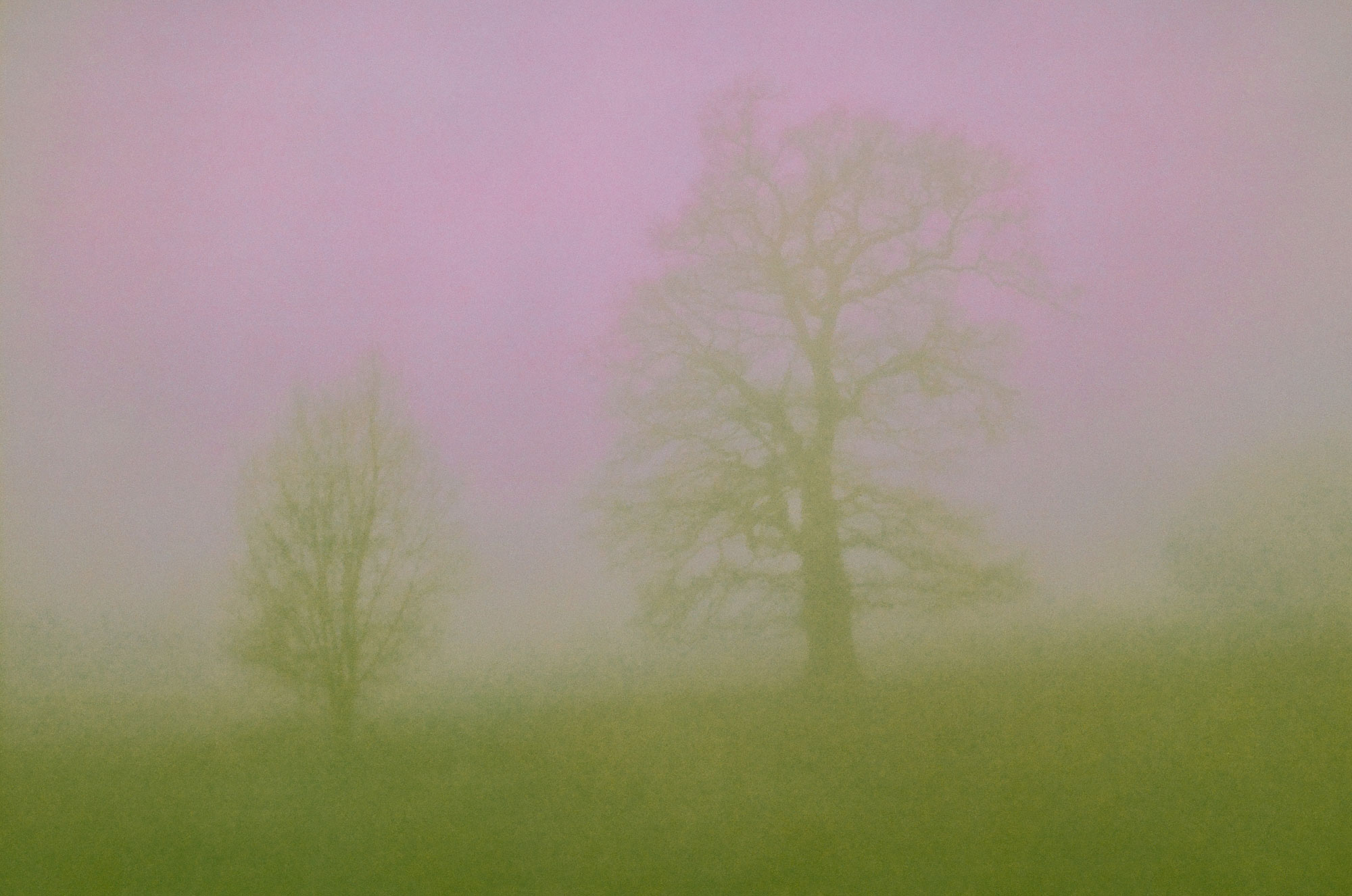 5112064 Jan Beesley Past Sell By Date 4