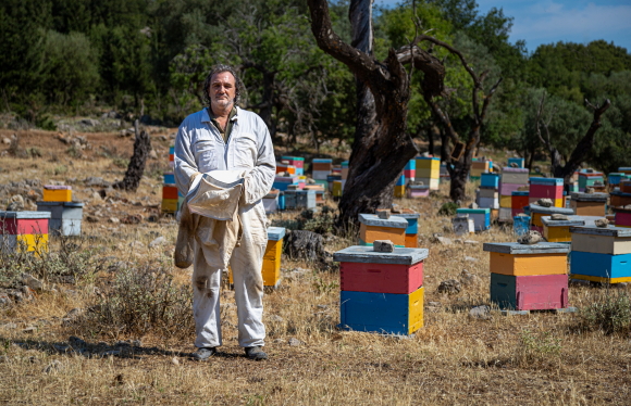 'The Greek Apiarist'