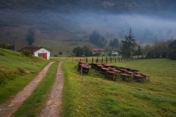 Farm Track Guatemala