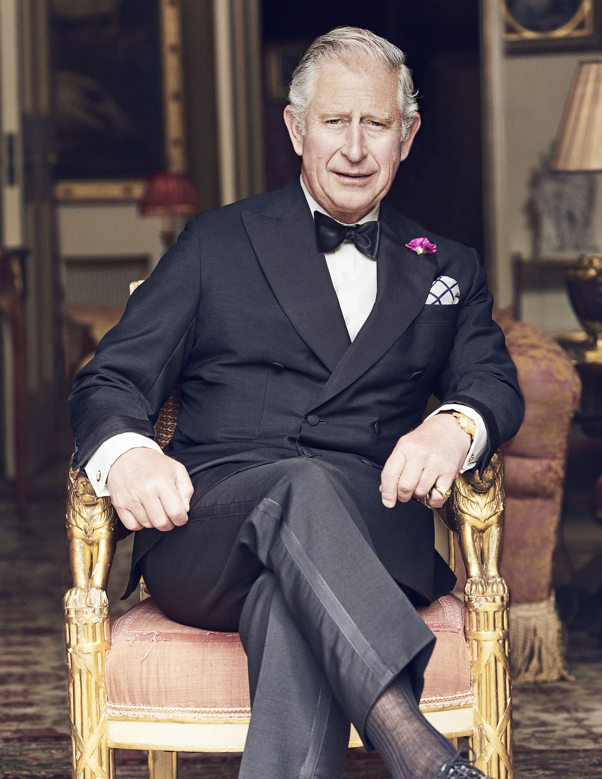 ‘King Charles III, Formerly The Prince Of Wales, 2018’ By Matthew Brookes