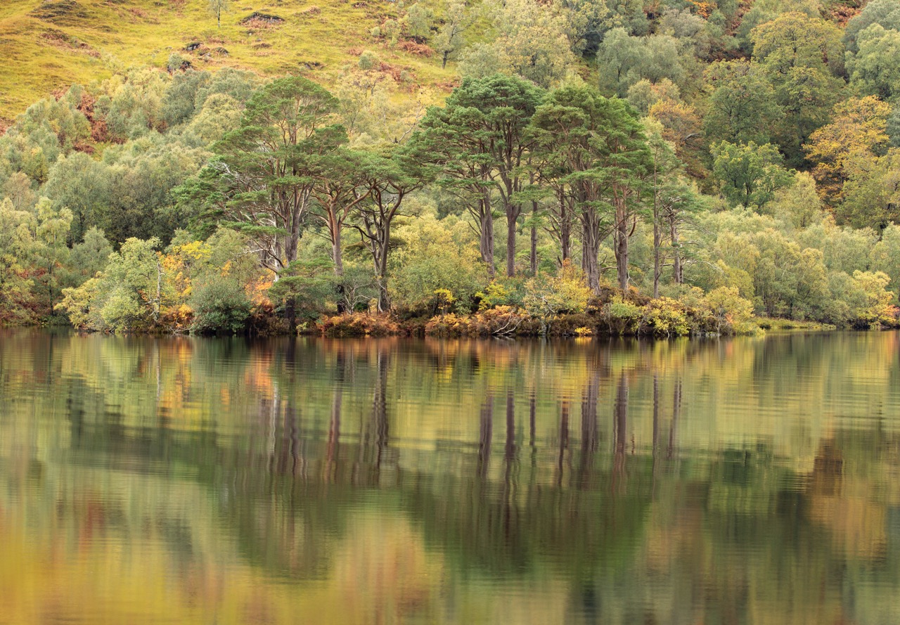 Klein Howard Reflection On A Dreich Day Large