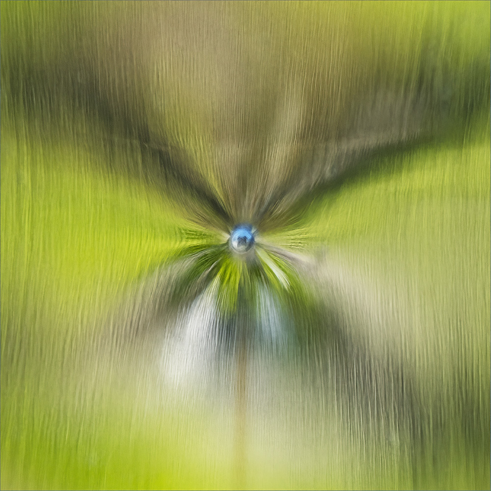 New Growth Reflected
