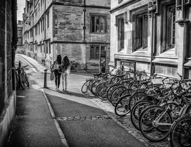 Taylor Neill Brasenose Lane Medium