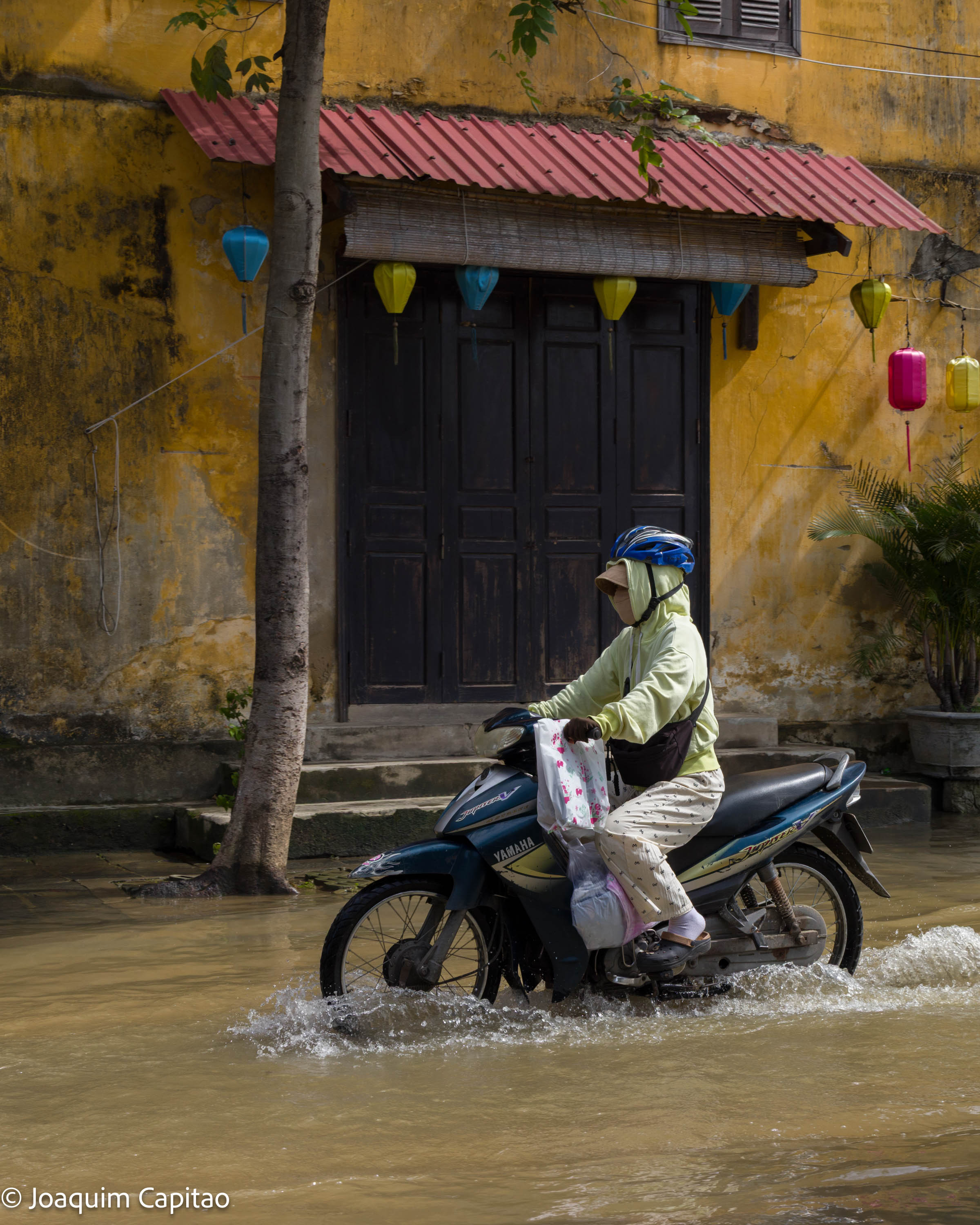 Joaquim Capitao Safety Rules