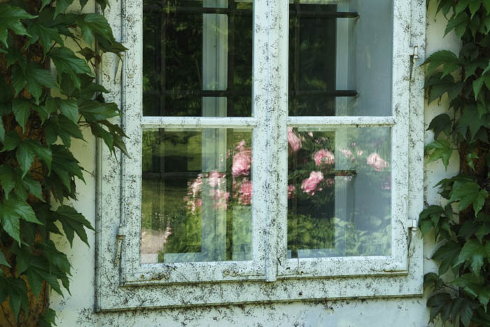 Austria Park Of Eggenberg Castle Bygone Times Astrid Preisz