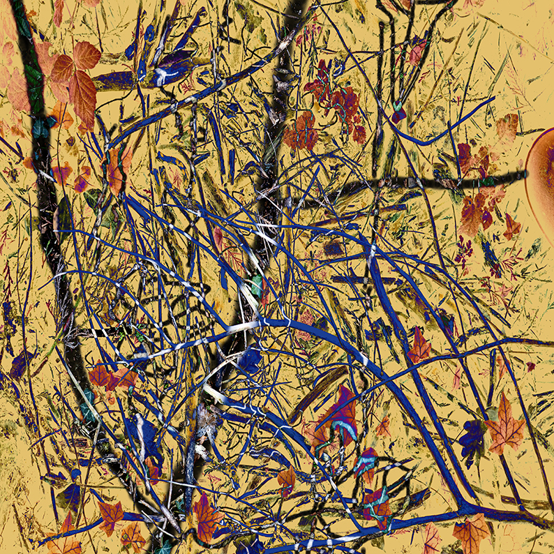 0126 Sheilajones Tangle Forweb