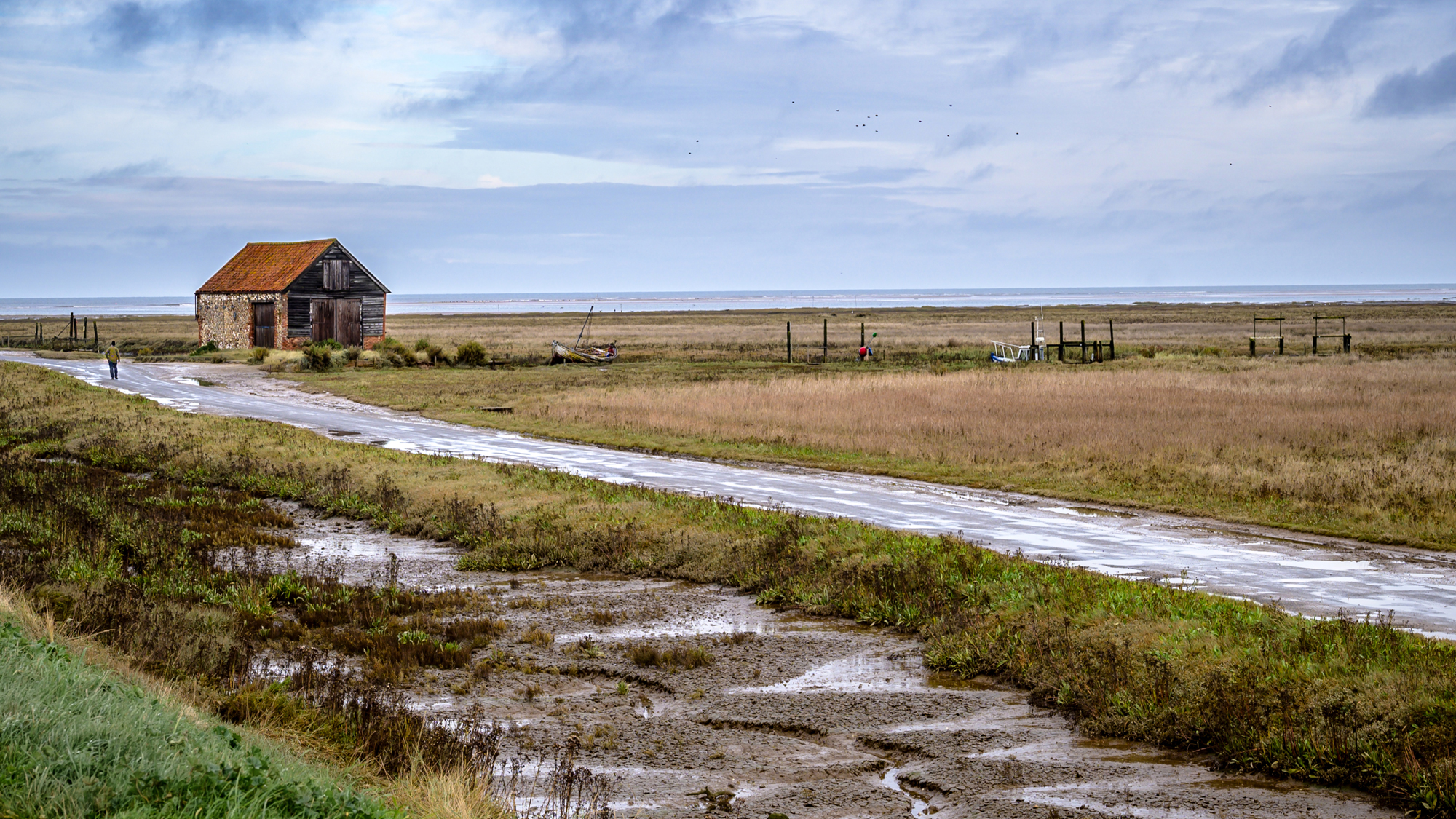 Across The Salt Marsh