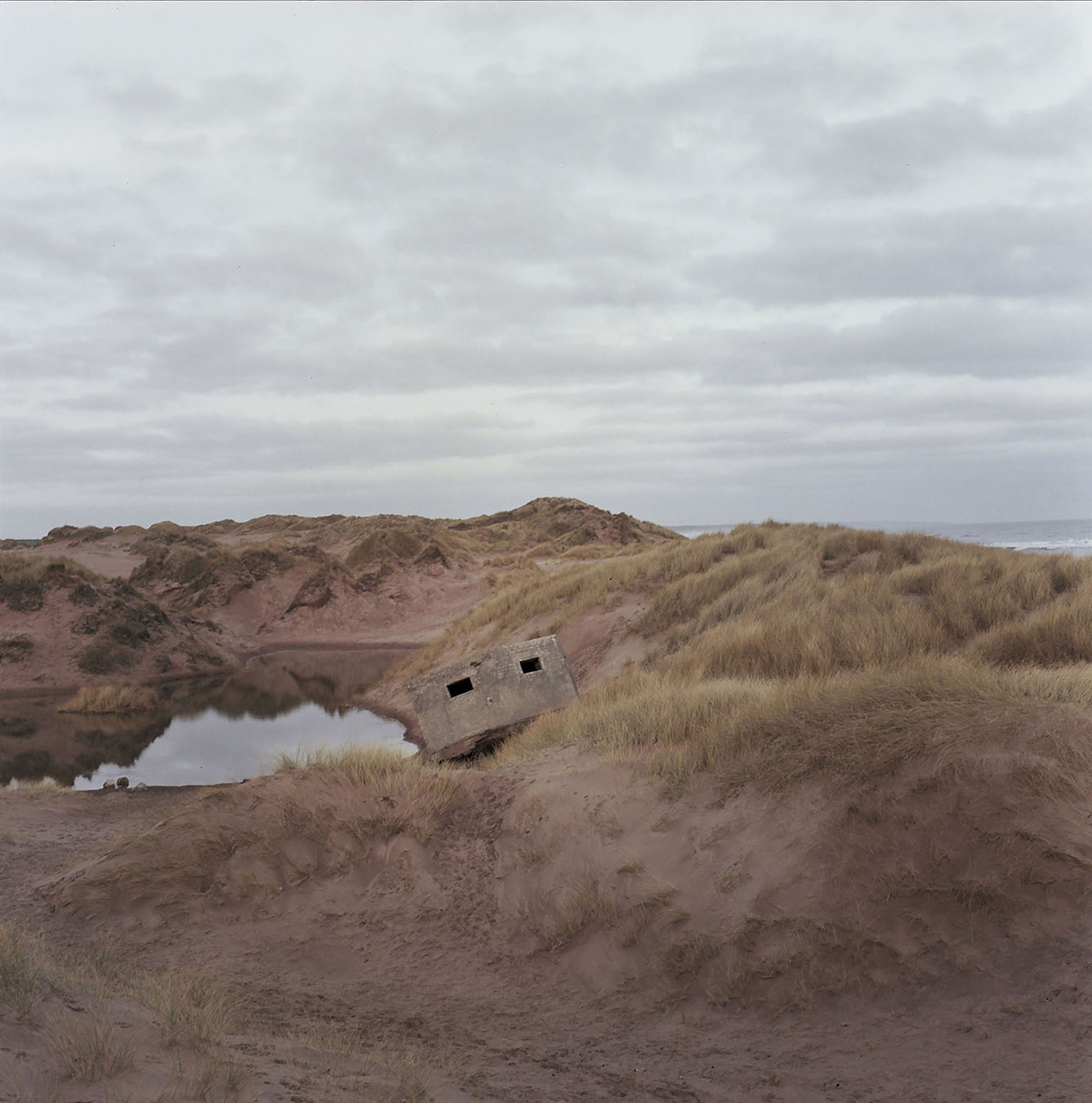 Aliciabrucemeniedaylight (1)