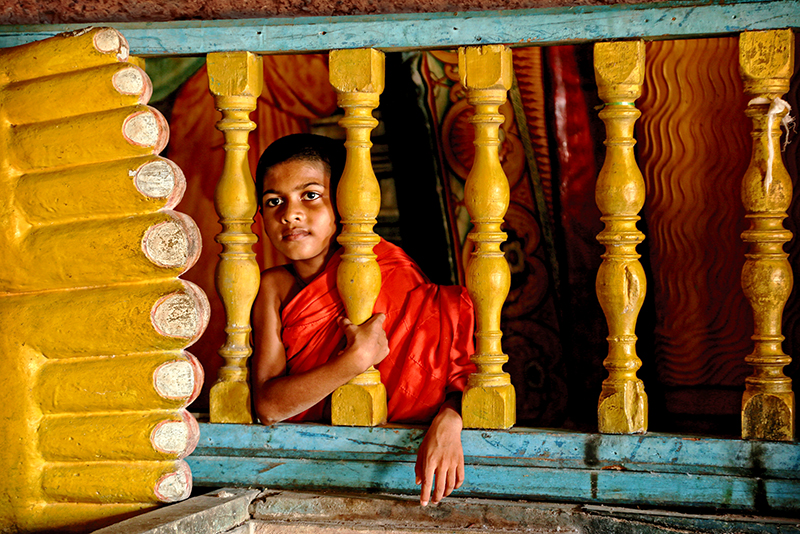 The Novice By Bandu Gunaratne LRPS Srilanka