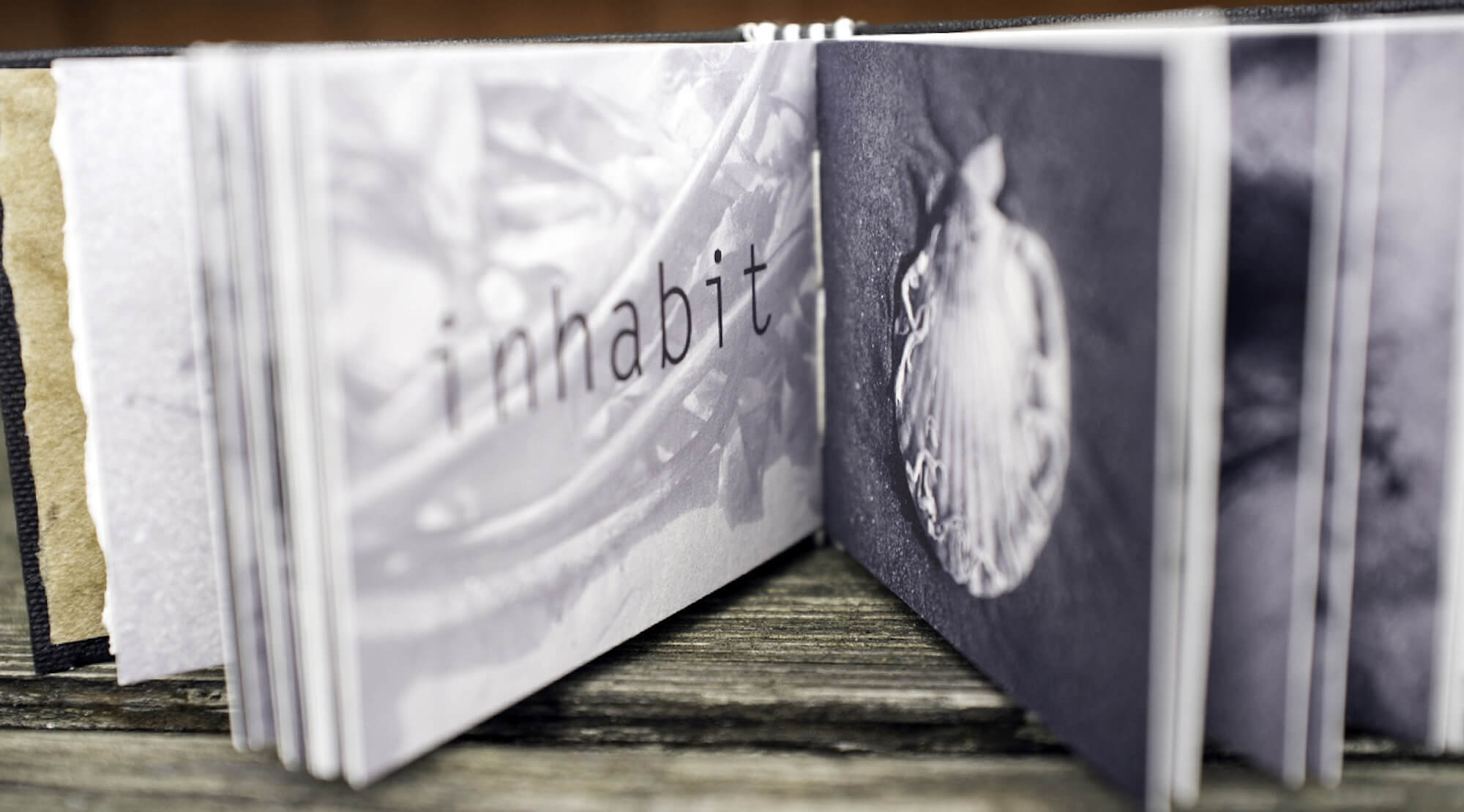 Photobooks are more relevant now than ever'