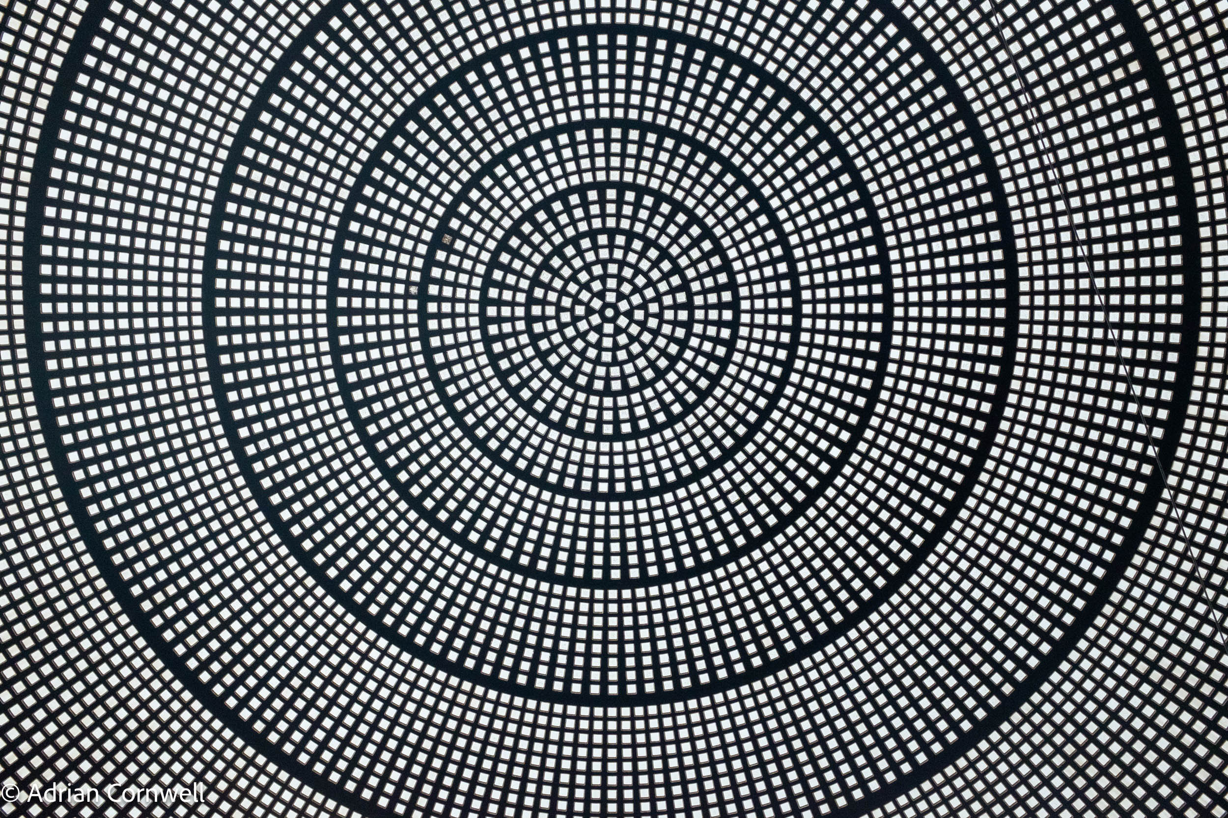 20240519 X100T DSF7493