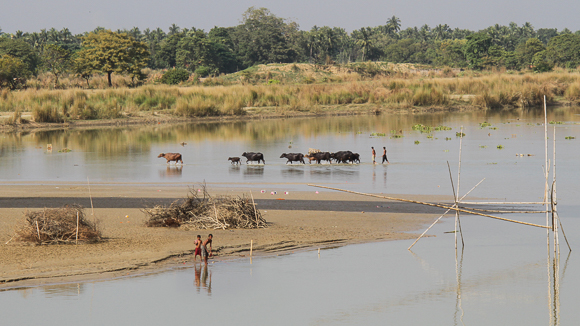 River Life In Provincial West Bengal