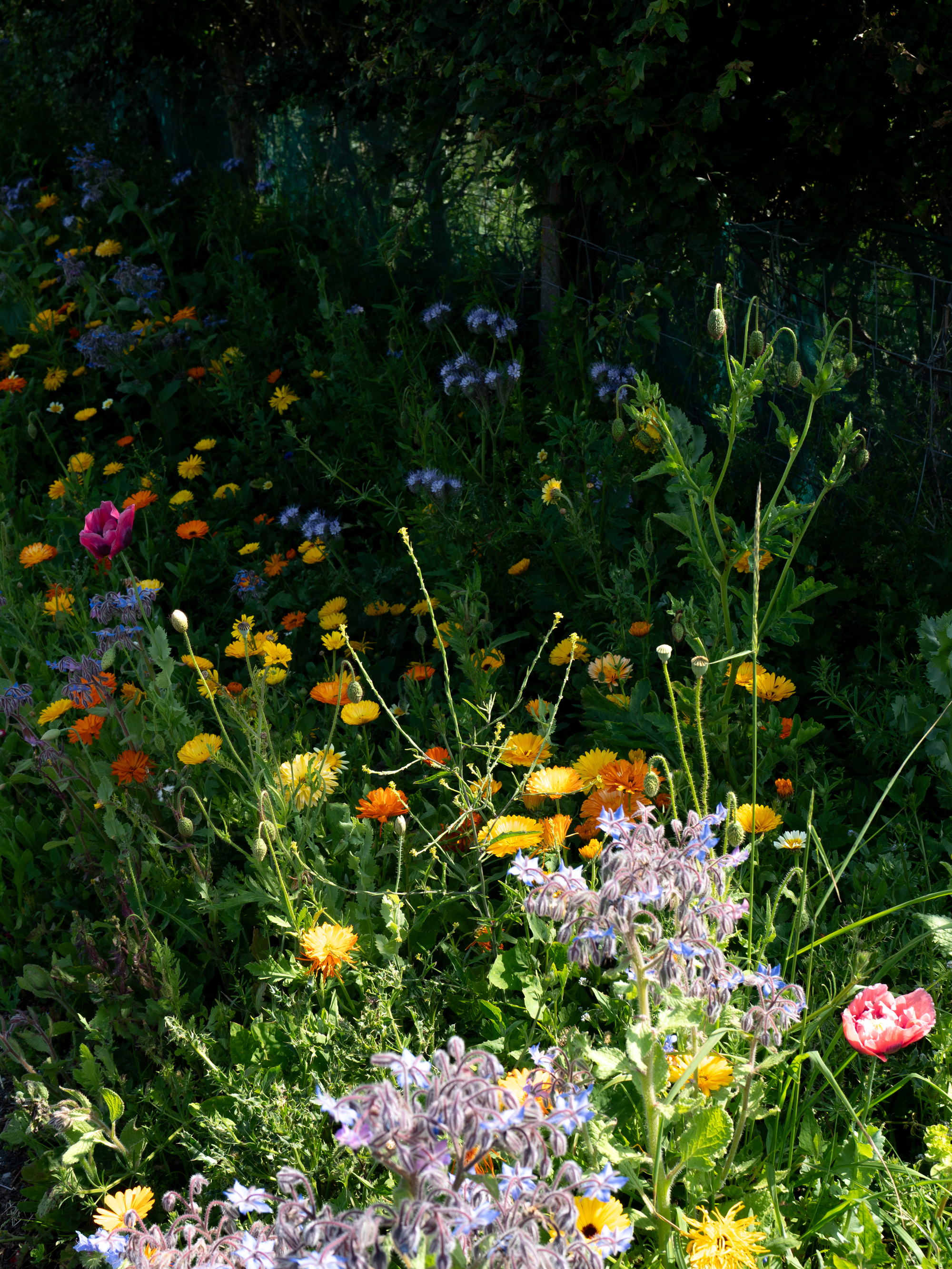 6806705 Ruth Emily Hanson Arps A New Nostalgia