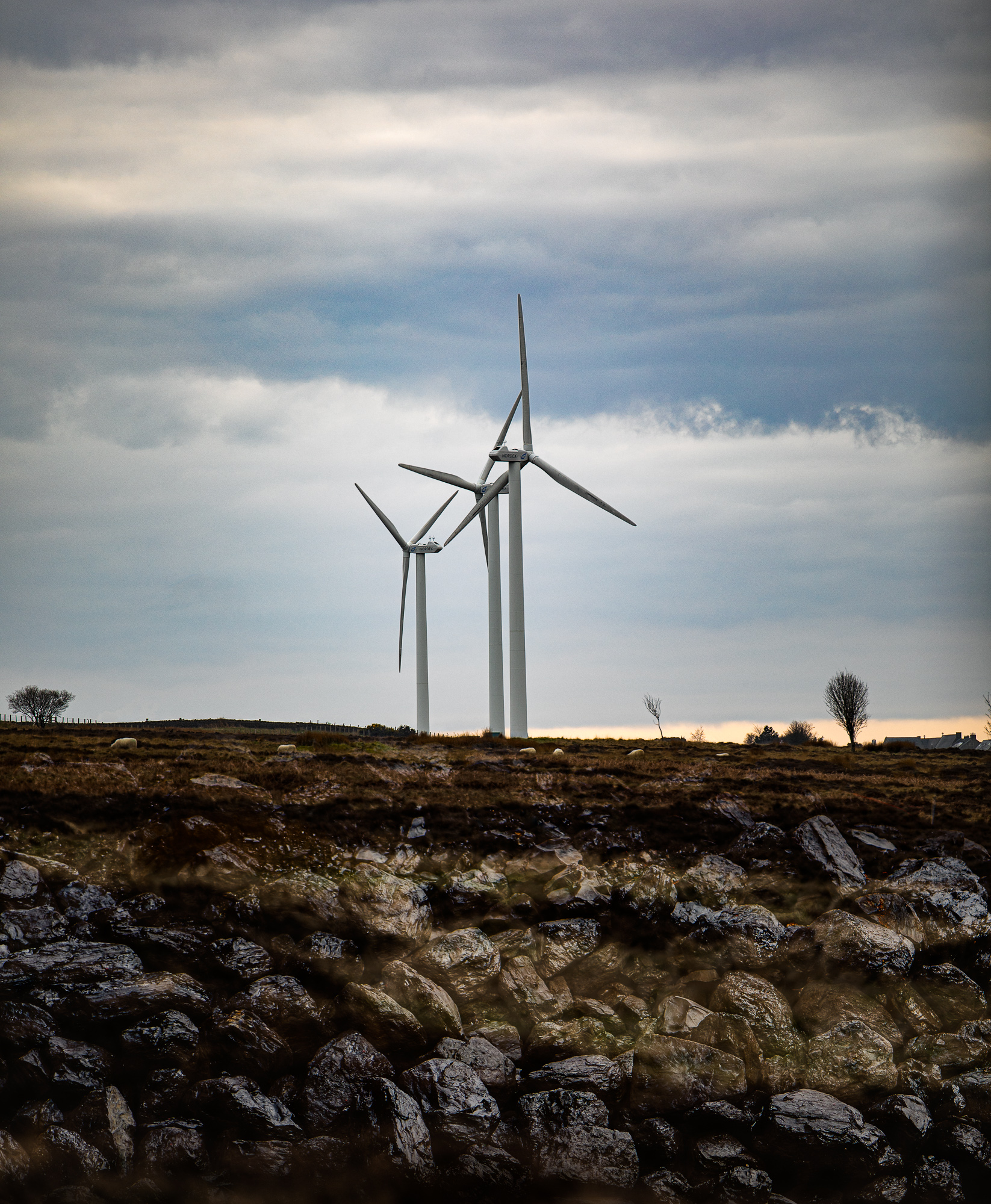 5555036 Louise Knaresborough Lrps On Shore Transition