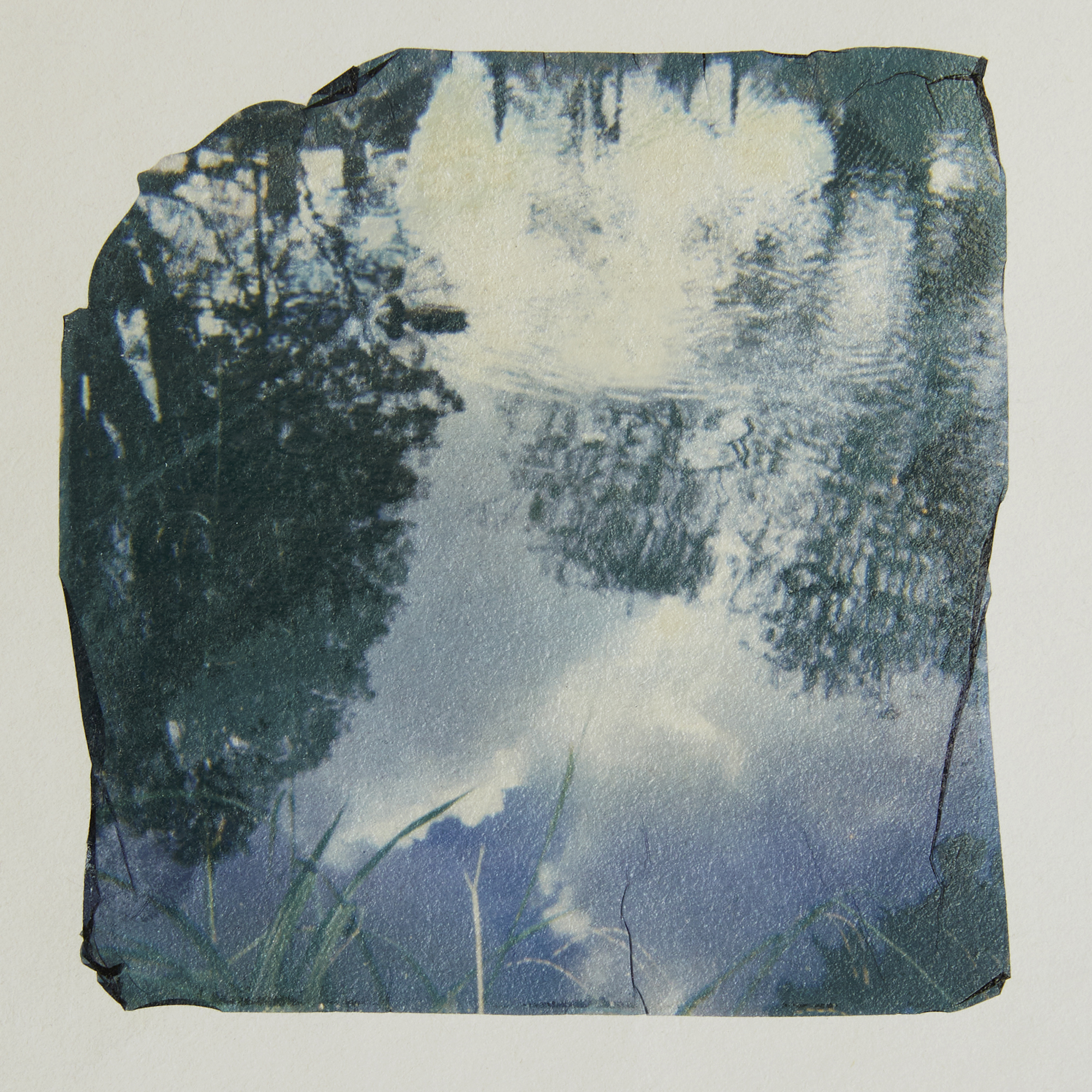 5572282 Sarah Hogan Shoganrpsnature3