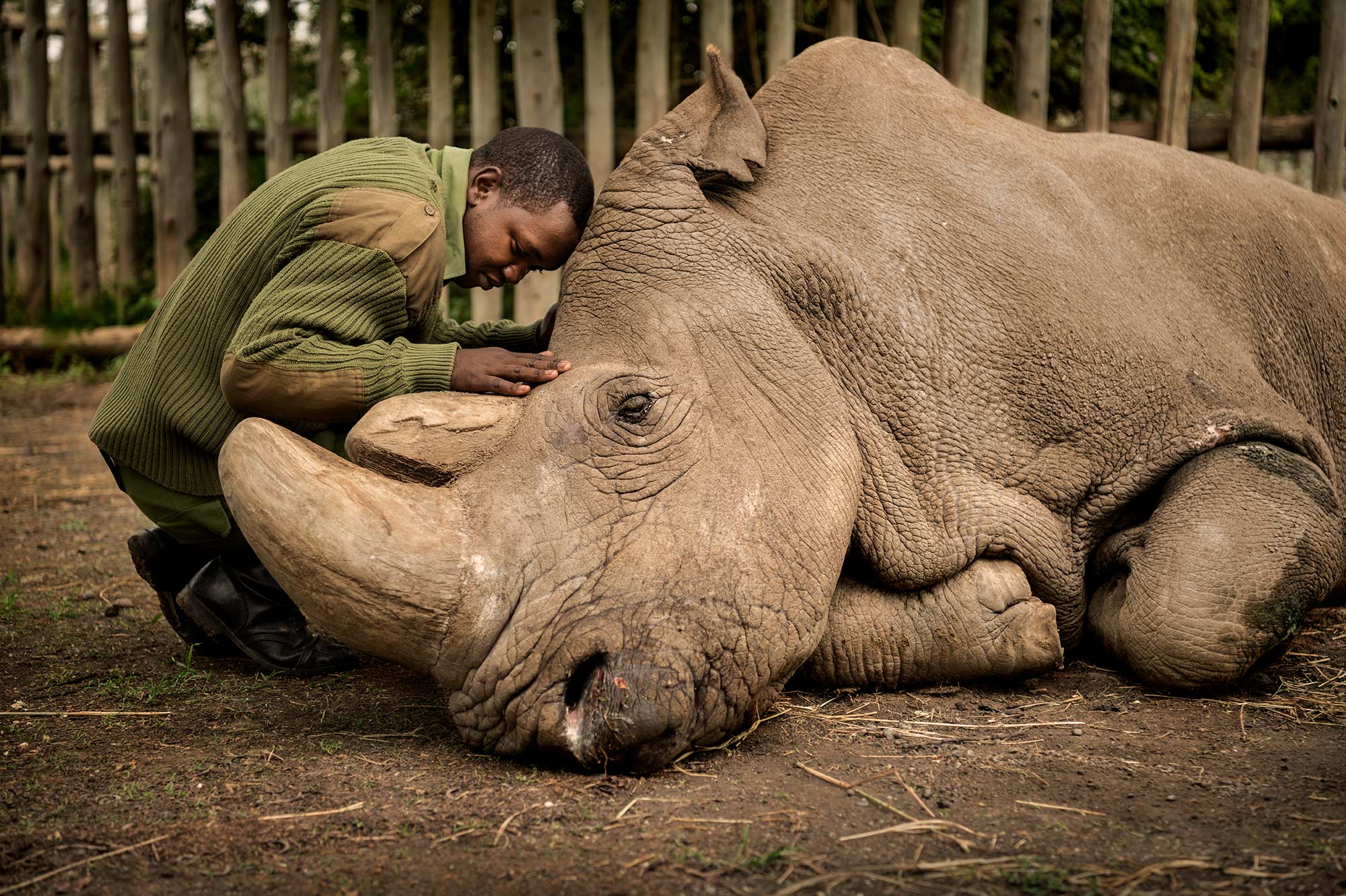 © Ami Vitale, Wildlife Photographer Of The Year