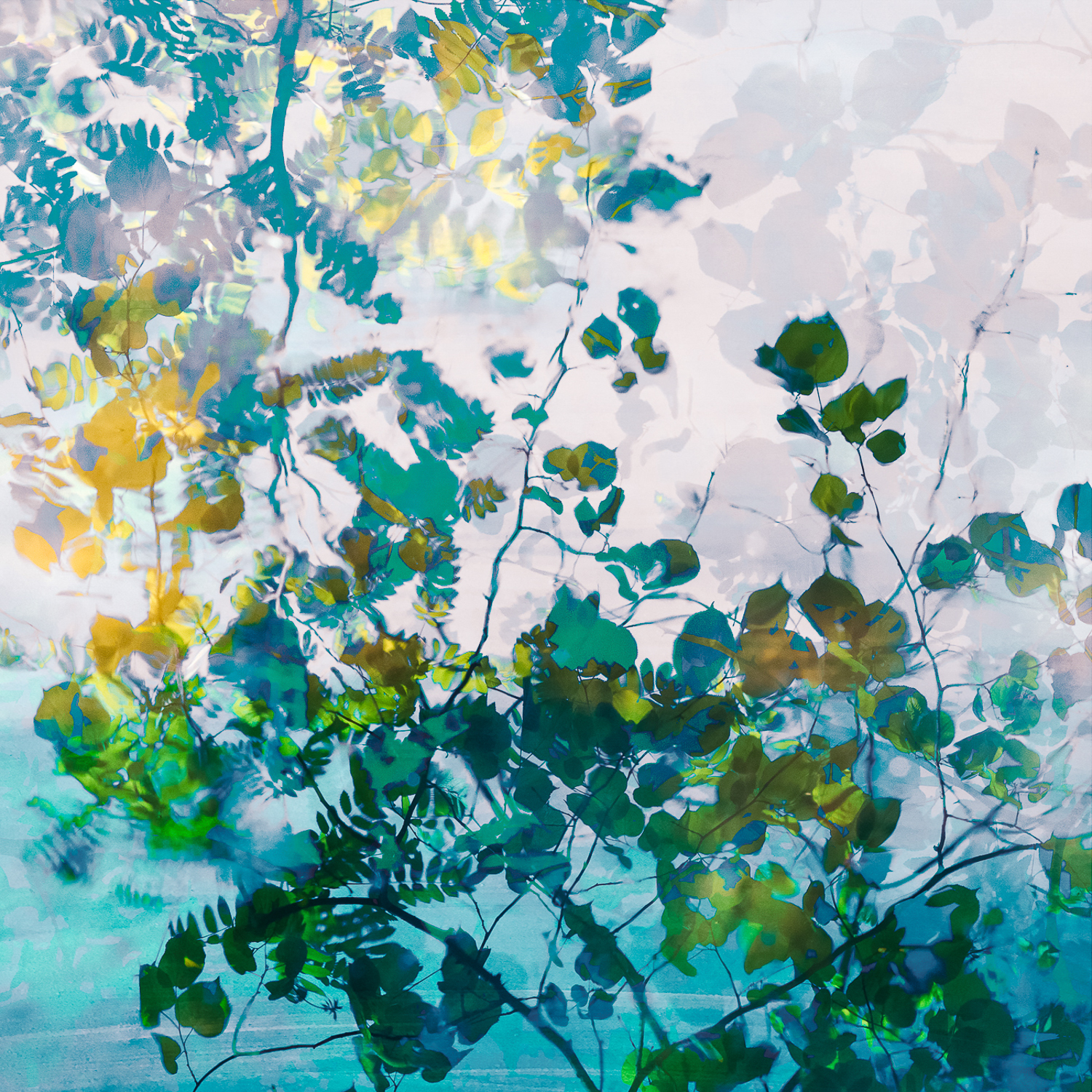 Raindance by Caroline Fraser