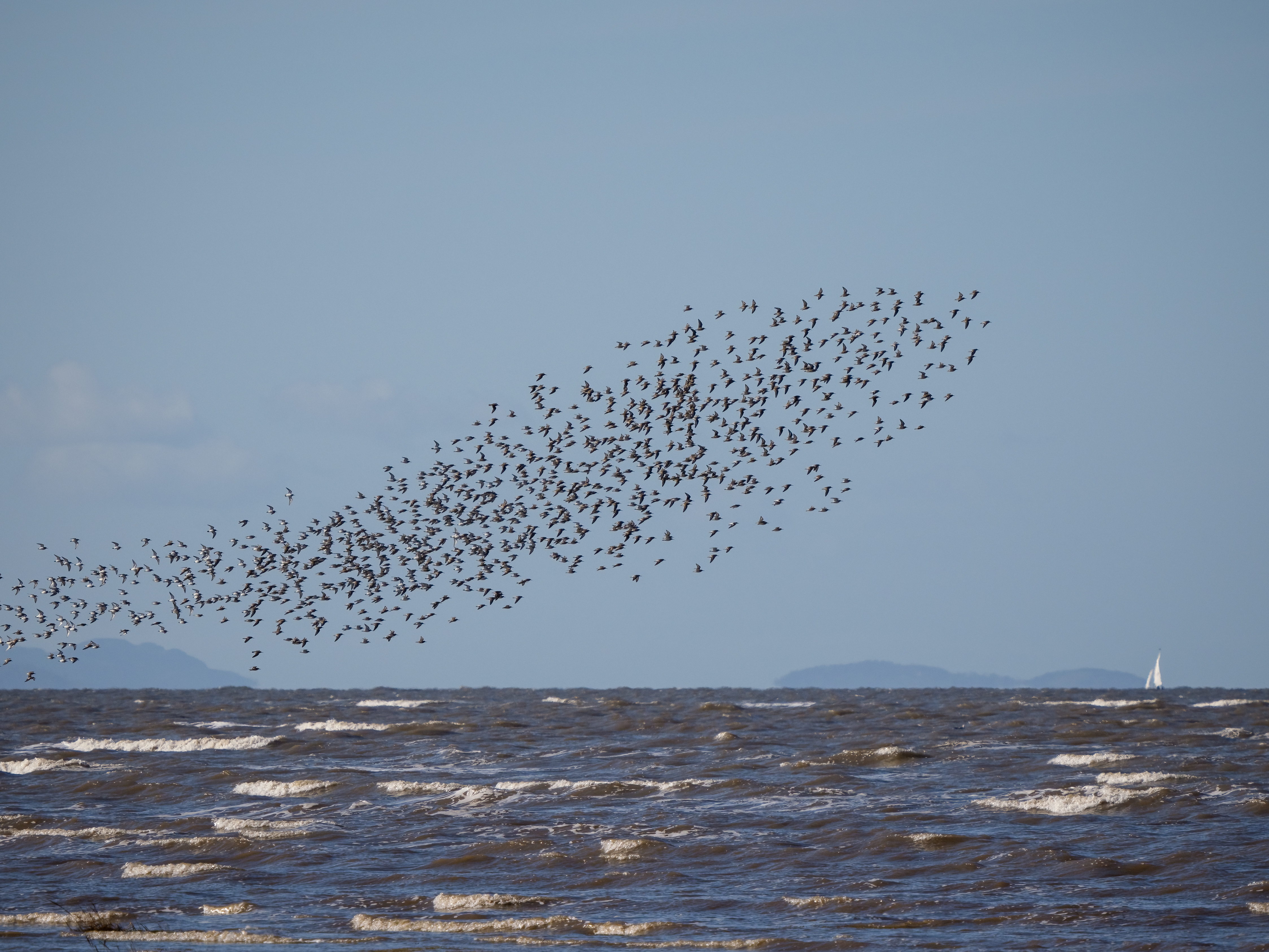 Maggie Bullock Waders Hoylake MB