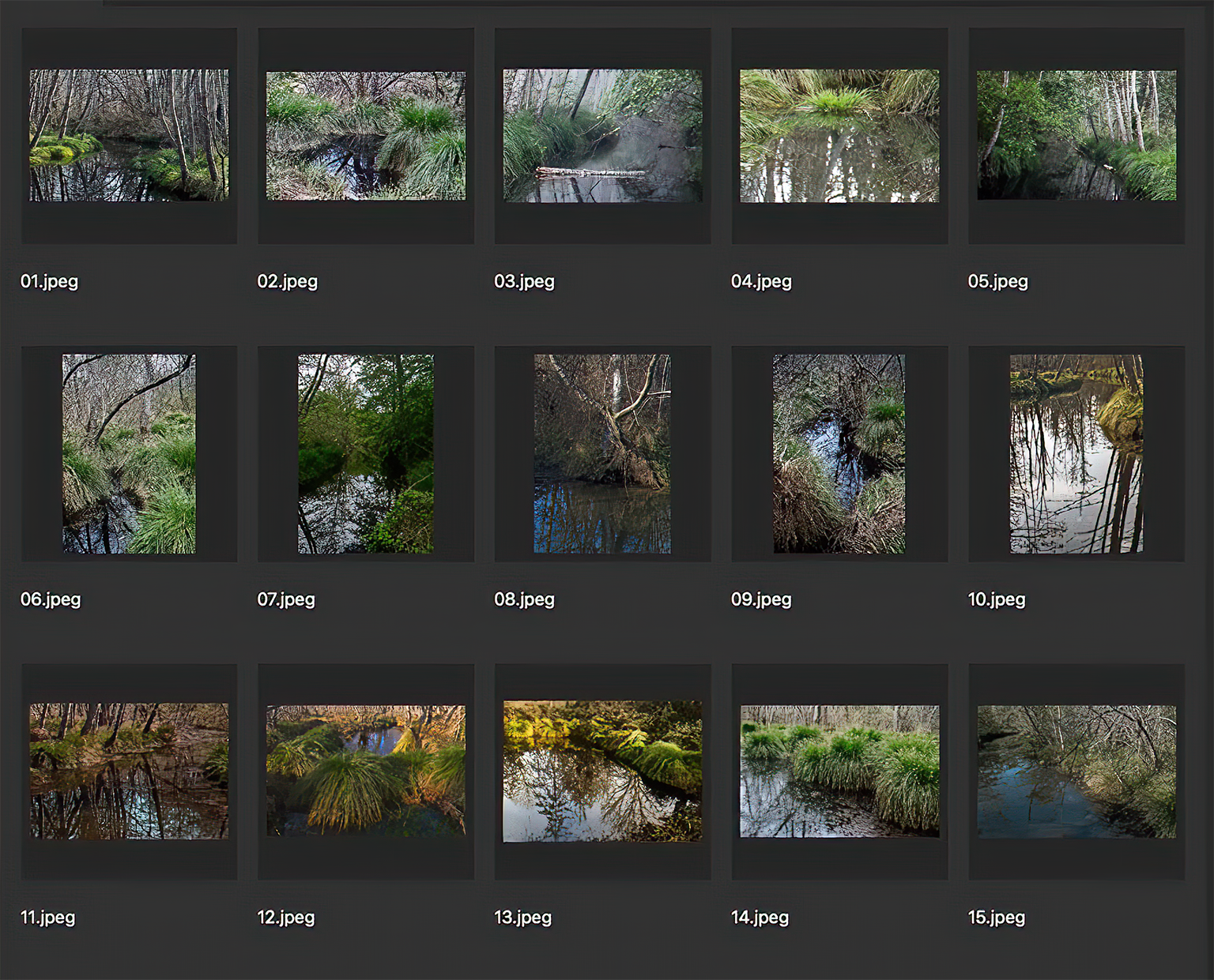 Gerry Phillipson ARPS Panel