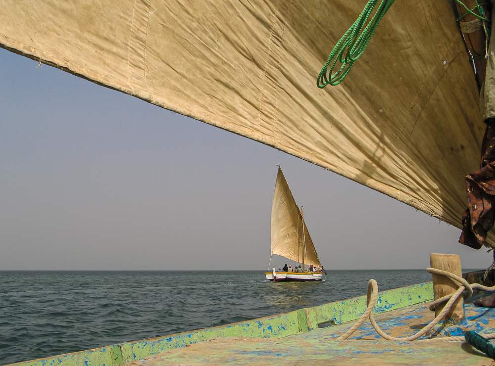 Dhow's That Atlantic Coast Off Northern Mauritania by Neil Harris