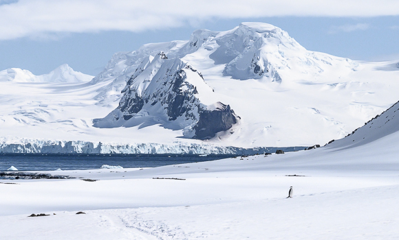 Half Moon Island Antarctica