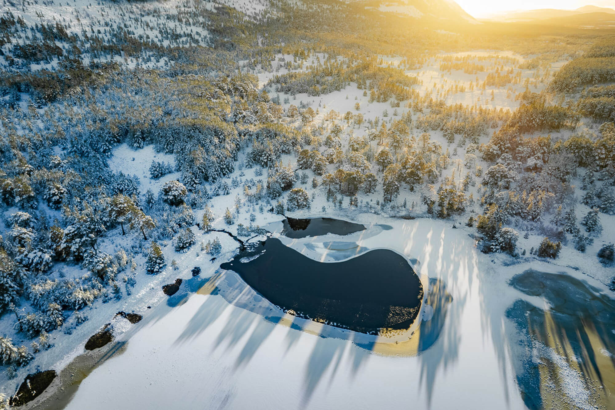 Christopher Harrison (#498716)