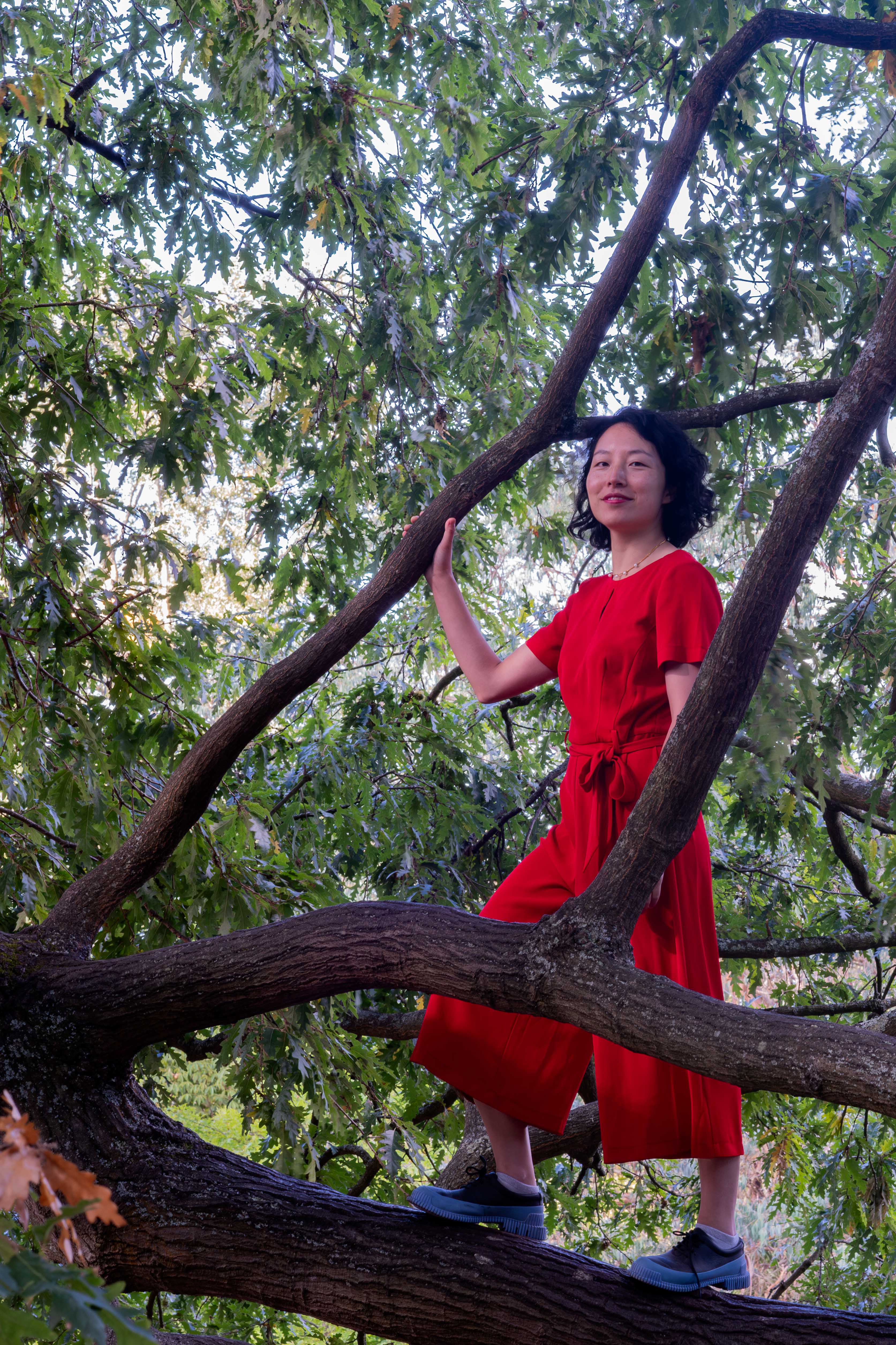 Yuan Yang MP by Dee Robinson 