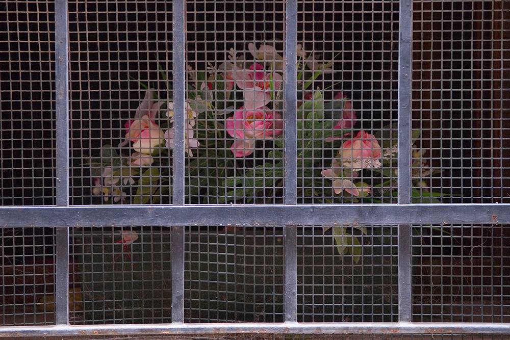 PLASTIC FLOWERS A414 ITALY 043