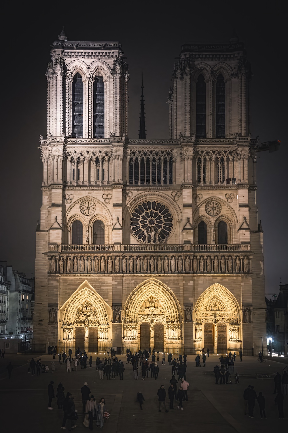 Icon Reborn, Notre Dame, Paris, France by Dan Bronish