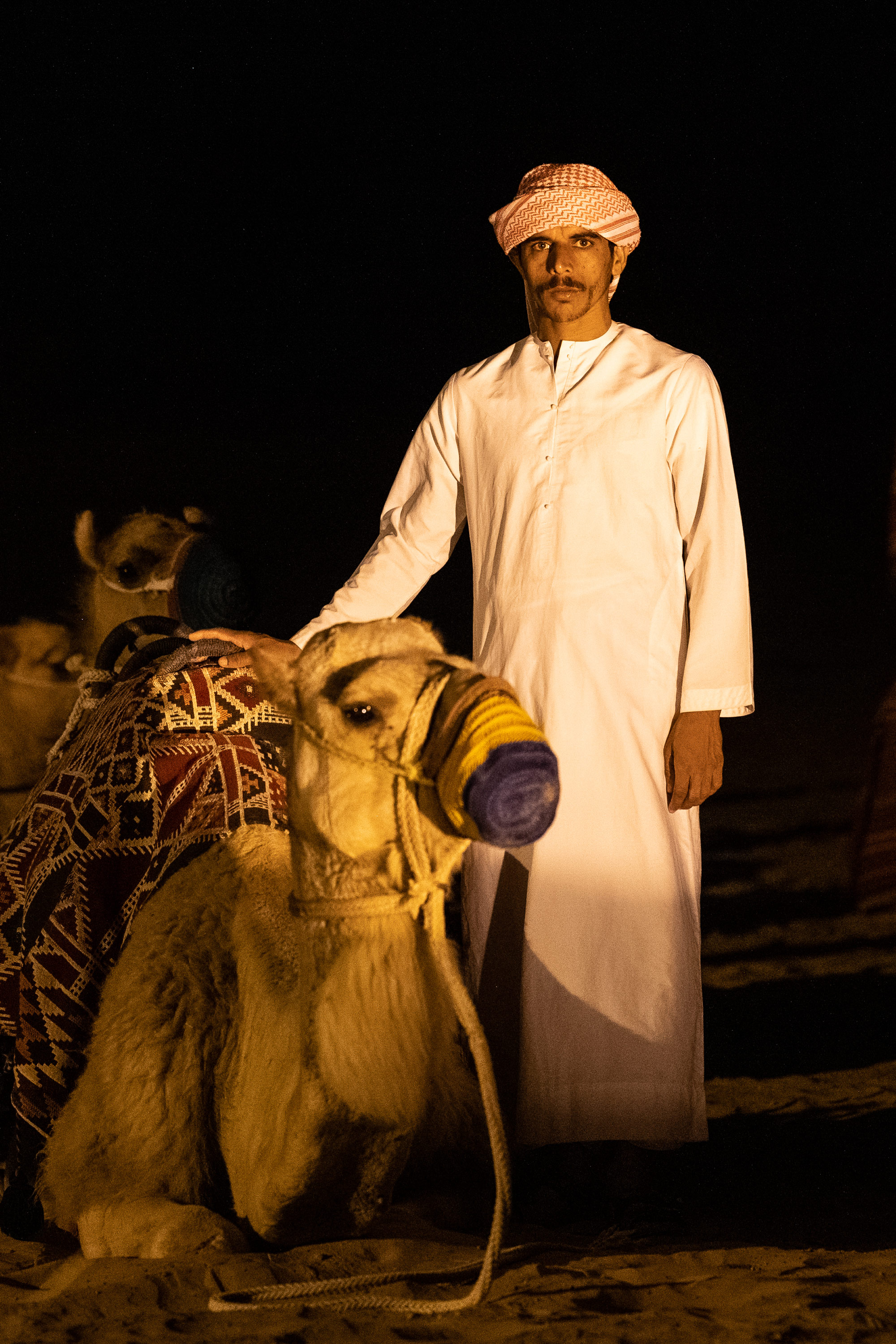 Soulsearcher By Sarah Haskell