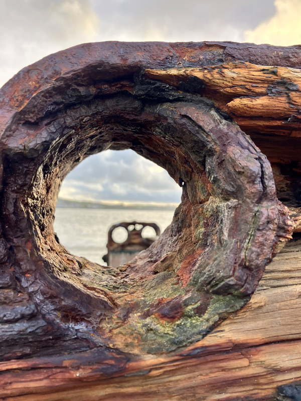 Hope, St Marks Junior School