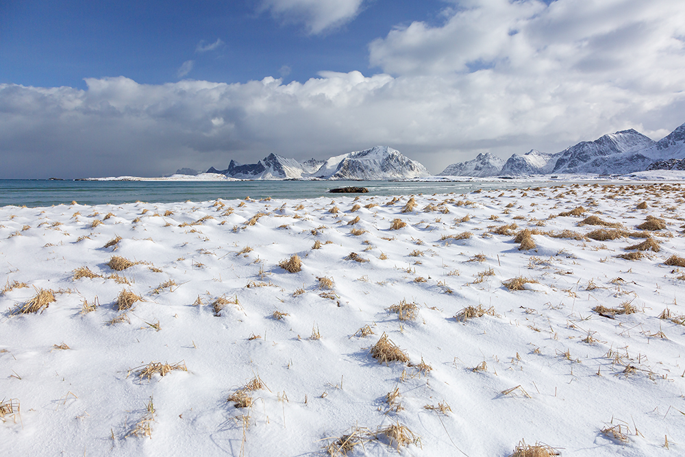 Lofoten Landscape Steve McDonald