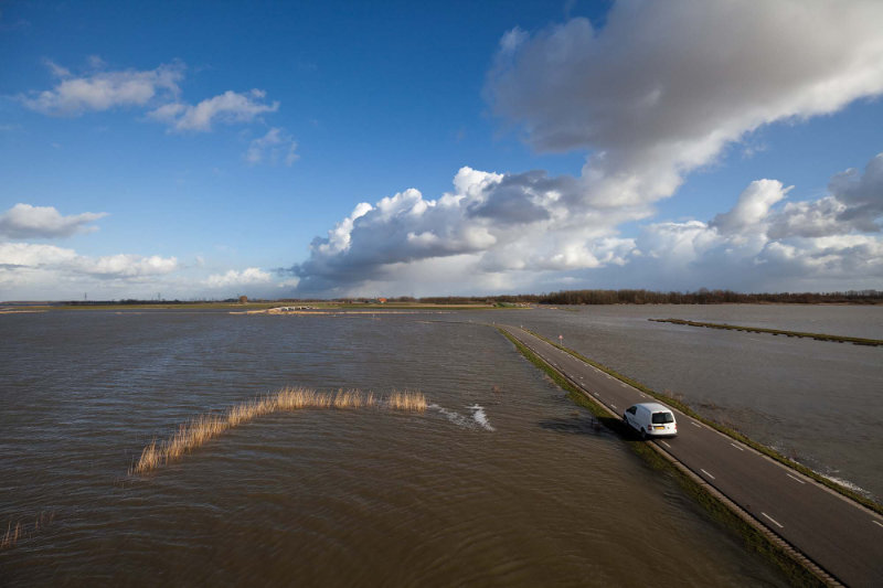 1296 Depoldered Noordwaard By Anja De Jong