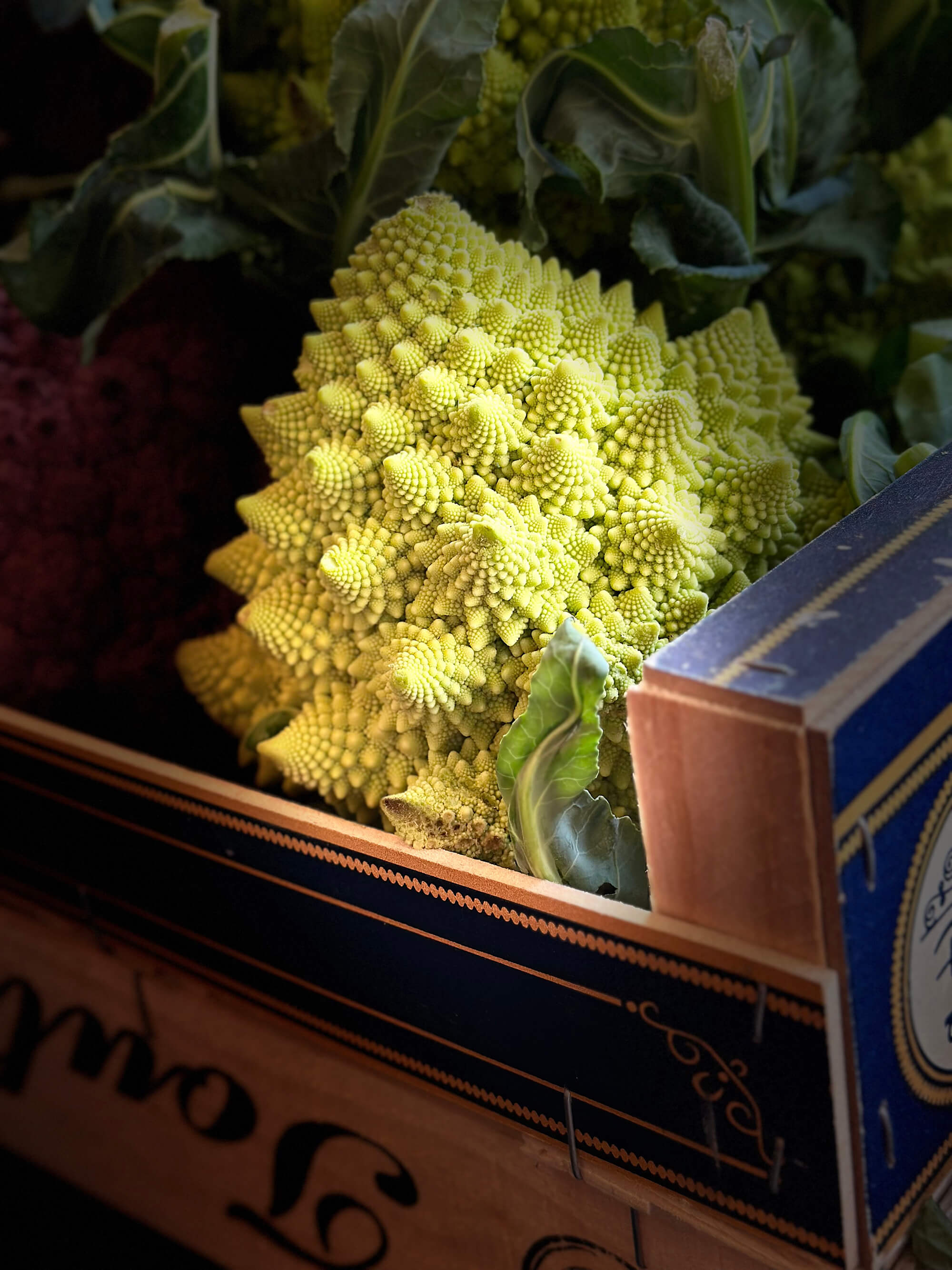 9 Jamie Oliver Youth Prize 12 And Under Ariel Owliaei Romanesco At Panzers Hi Res