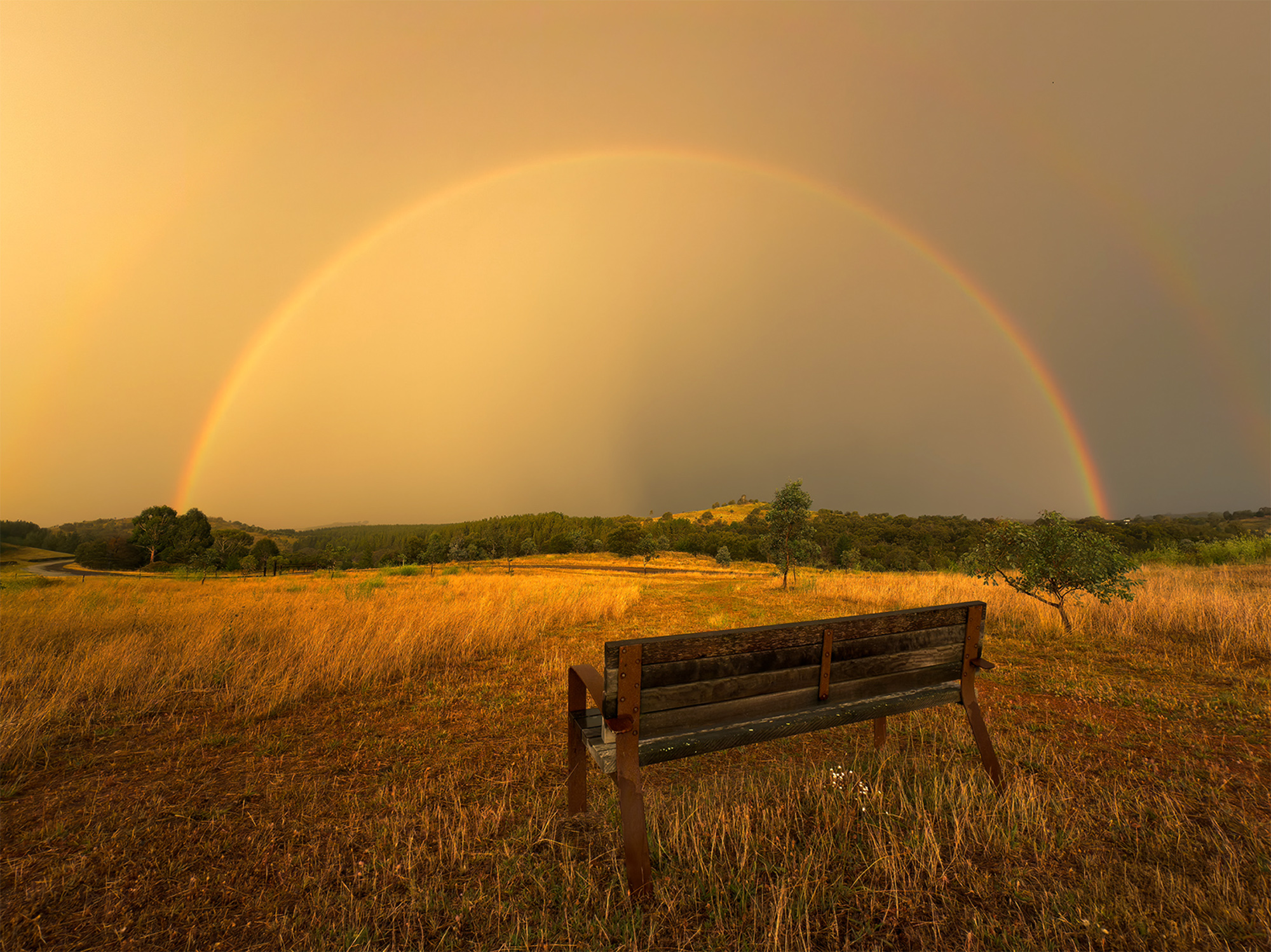 Still Here by Jacky Lee, illustrating the Weather and Atmosphere theme