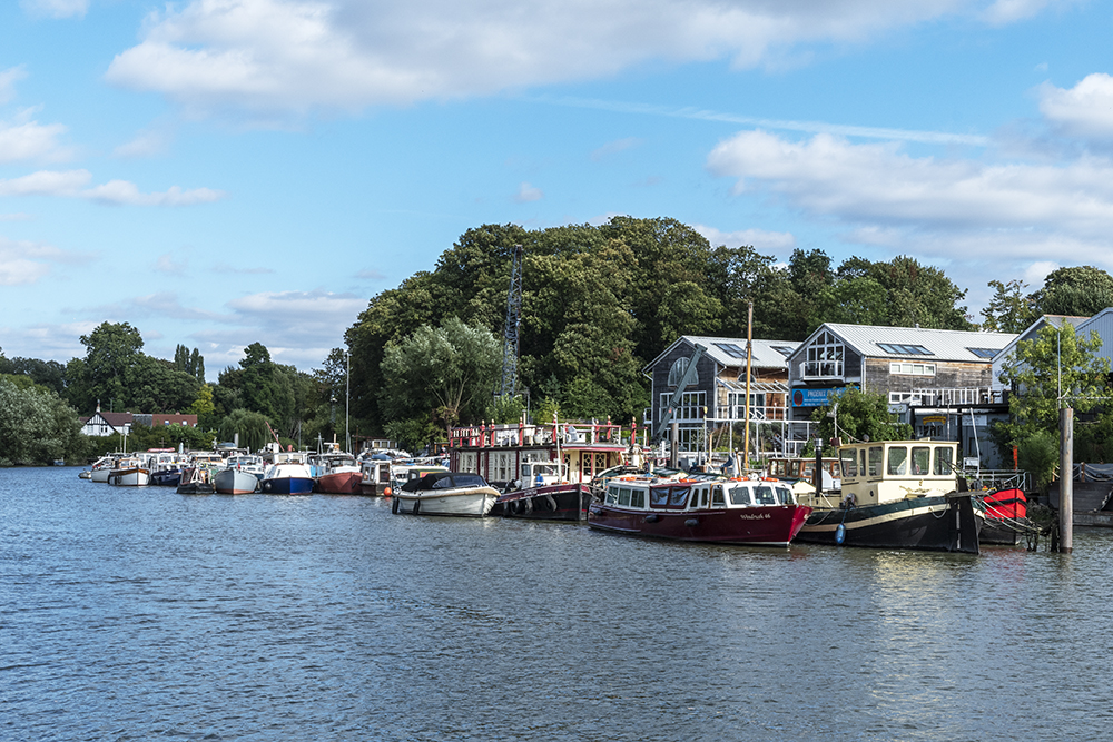 DSC2023 Eel Pie Island For The Website