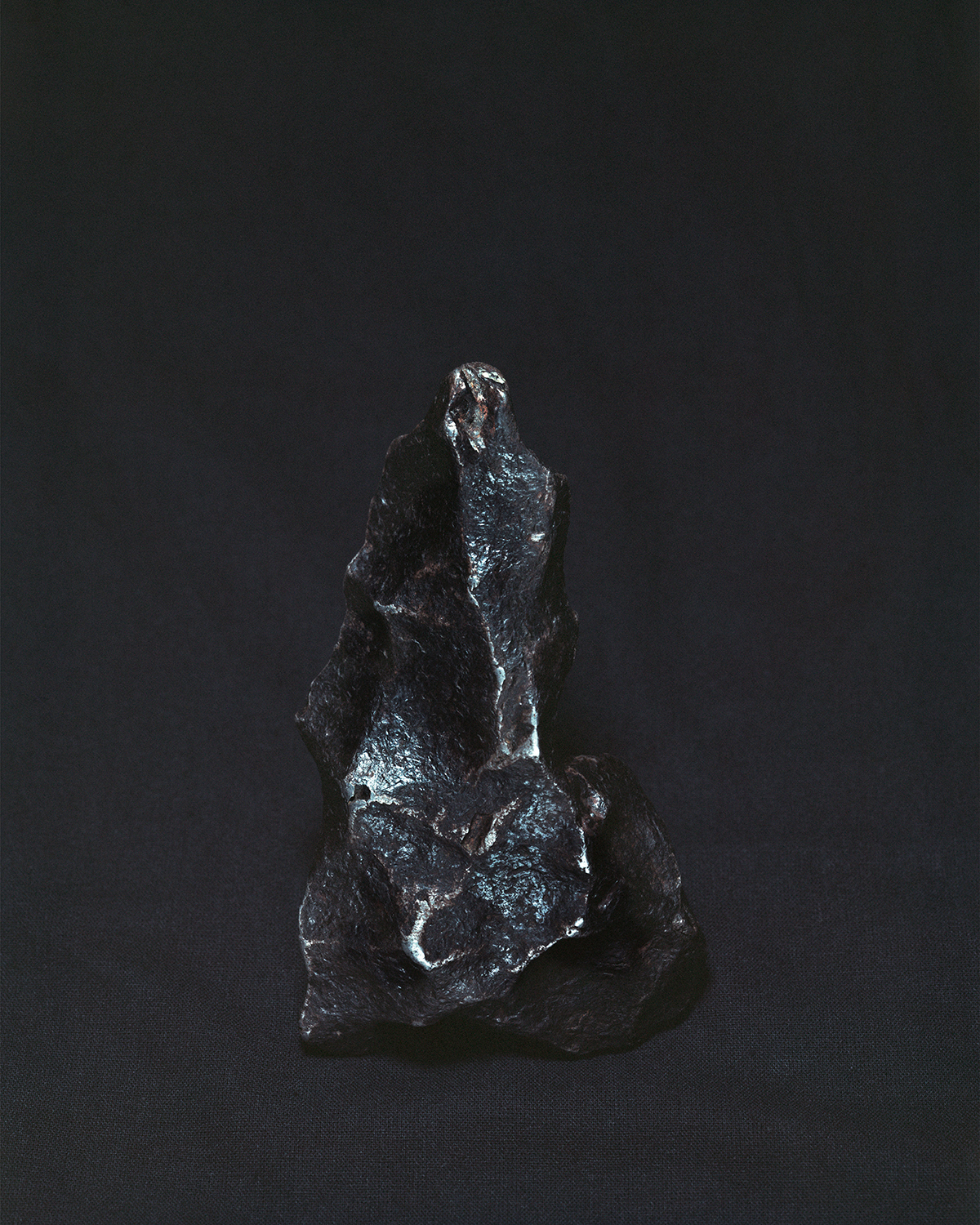 Steinberg_David_Meteorite