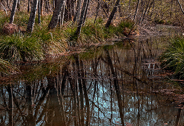 Gerry Phillipson ARPS 11