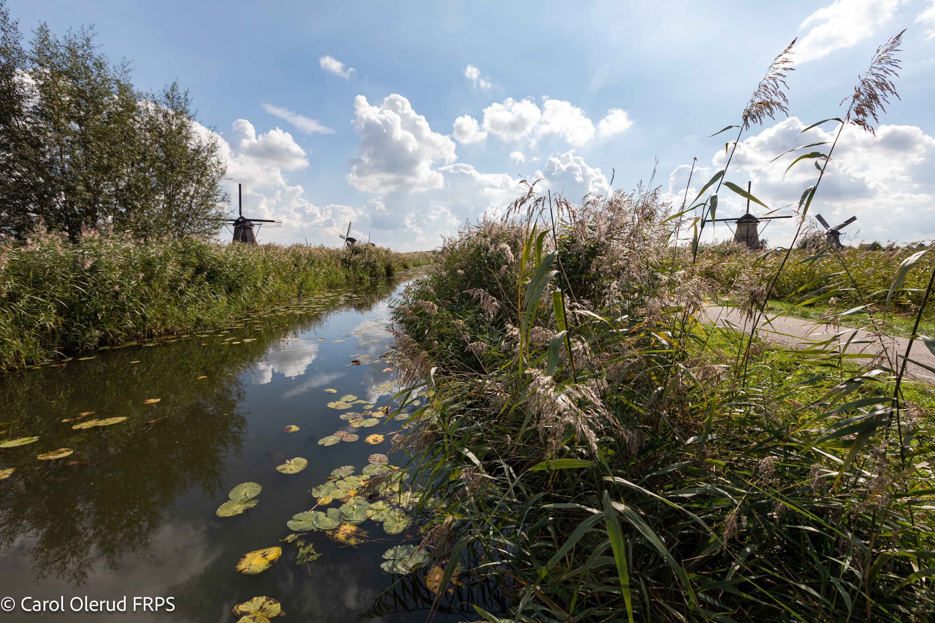 TWT Inland Waters © Carol Olerud FRPS 01