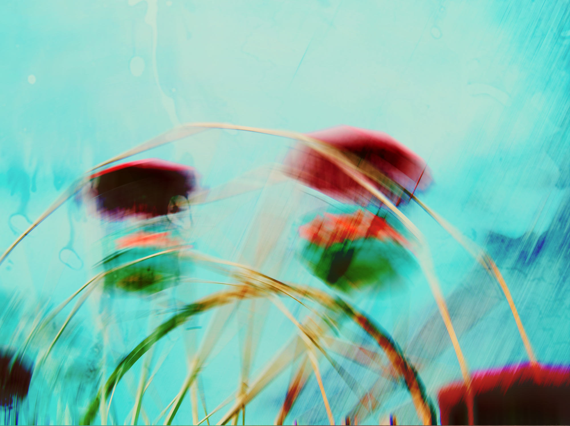 6716677 Gosia Matejuk Big Wheel