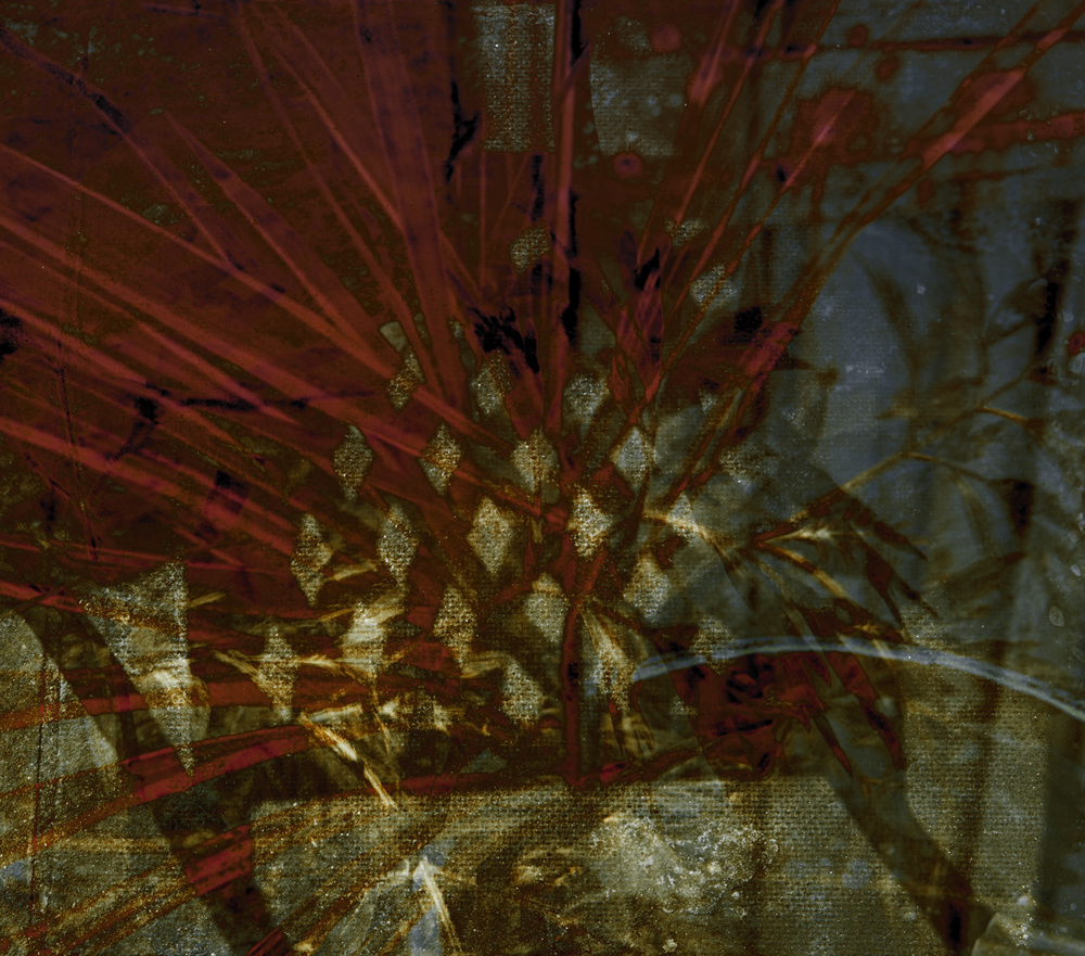 Lockdown Abstract A Stevenson