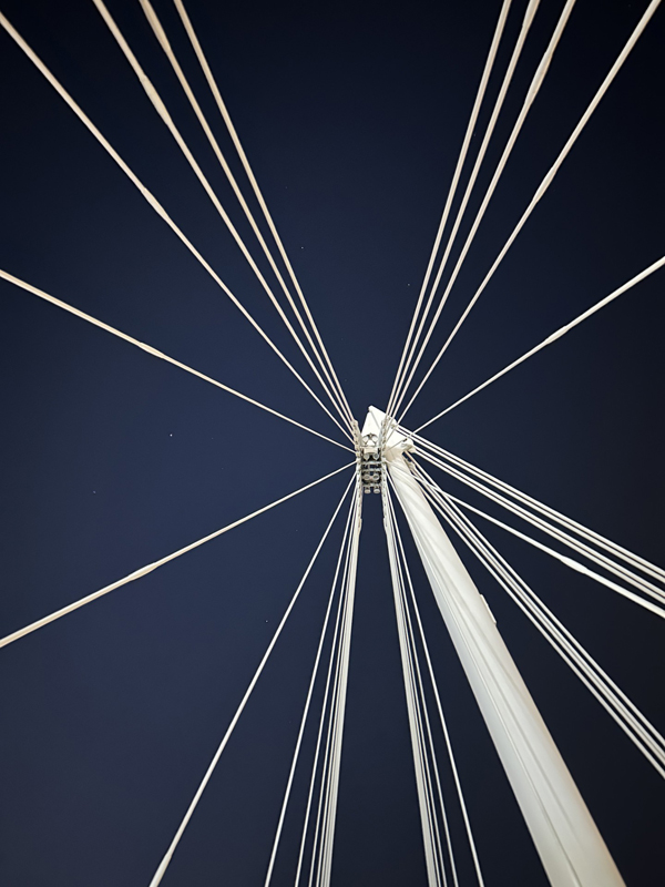 Martha, Ringwood Junior School.