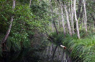 Gerry Phillipson ARPS Card 05