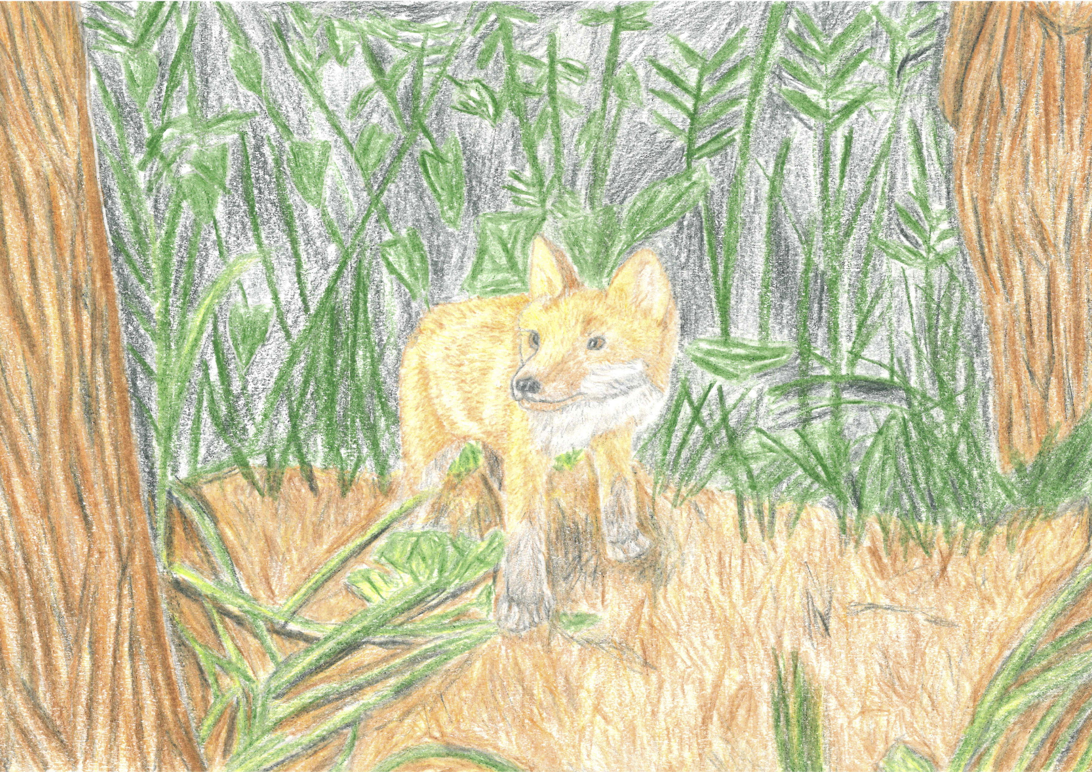 Fox Cub Art